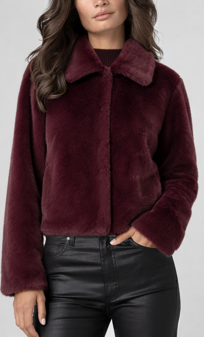 Collared Faux Fur Jacket LM1D25TR08
