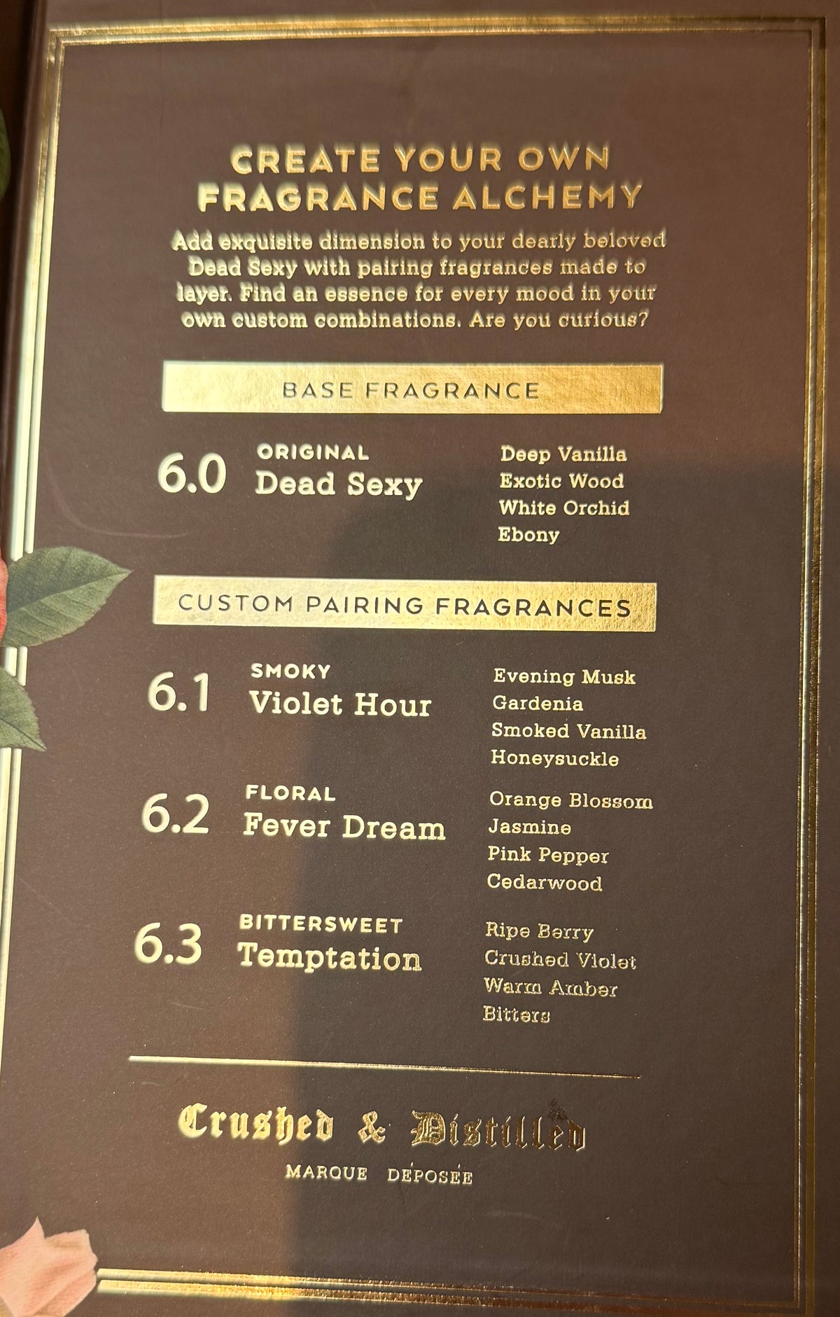 Dead Sexy Layering Kit 16KLS6