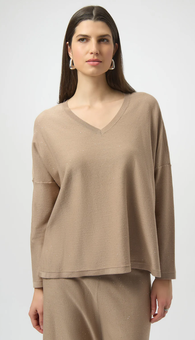 Sequined Sweater Knit Boxy Top 244921F25