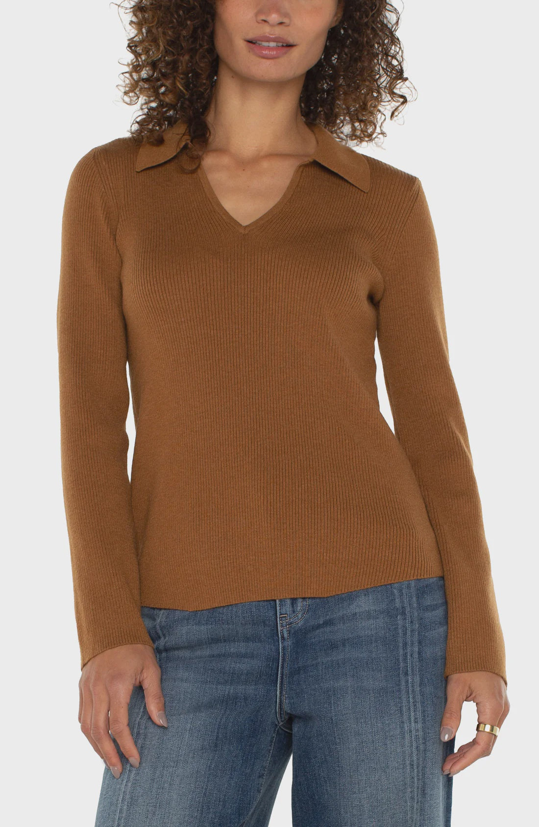 Long SL V Neck Collared Sweater