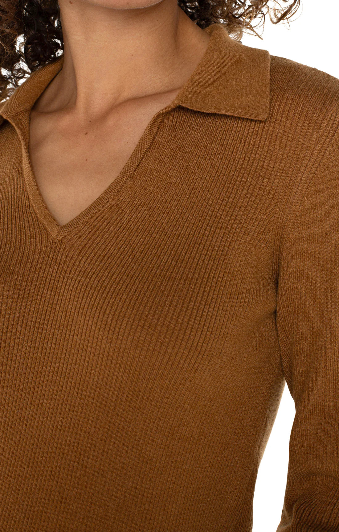 Long SL V Neck Collared Sweater