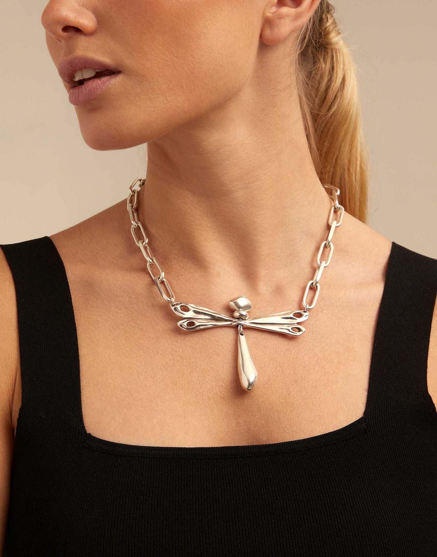 Come Fly Silver Necklace COL1756MTL